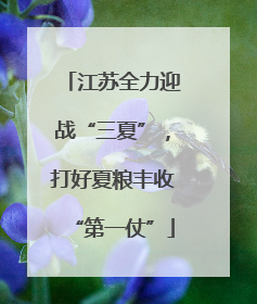 江苏全力迎战“三夏”，打好夏粮丰收“第一仗”